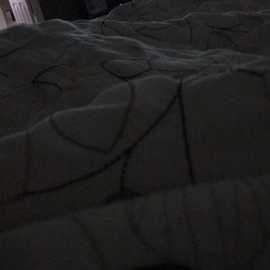 Meet your Posher, Molly